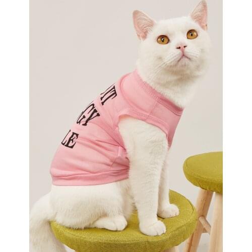 Dog shirt pet dog blank cloth clothes breathable dog plain shirt soft dog T shirt clothes dog cat dog suit