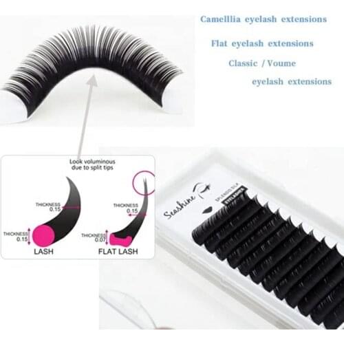 Seashine Matte Ellipse Individual Eyelashes Extension Lashes Roots Split Eyelash Lighter Fit Y Matte Flat Lashes 0.15 C/D curl