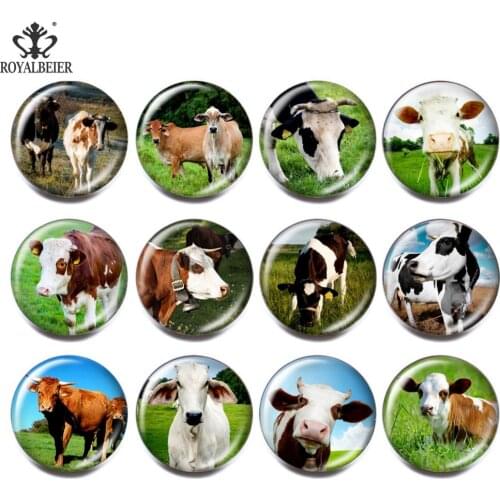 12pcs/lot 18mm Snap Button Jewelry For Bracelets Vintage Animal Pets Glass Button Christmas Gifts For Girls Fashion Jewelry