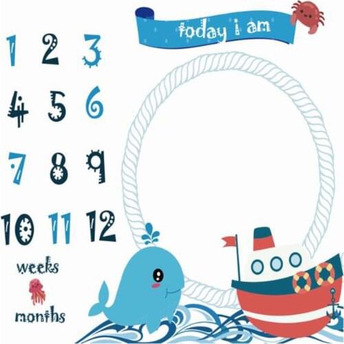 Newborn Baby Photography Props Blanket Monthly Growth Milestone Photo Background Cloth for Rug Girls Boys Kids Photo Accessories