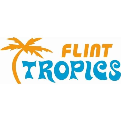 90*150cm Flint Tropics Flag