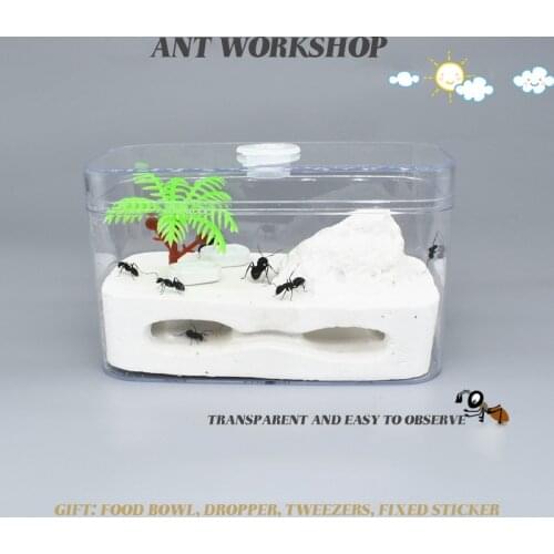 Ant House Ant Home Castle Eco Box Ant Nest Factory Cultivate Childrens Interests Queen Ant Box Ant Workshop Pet Supplies
