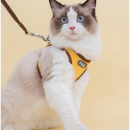 Breathable Mesh Small Cat Puppy Harness Leash Set Reflective Pet Harnesses Vest Leash 2pcs Set For Small Medium Cat