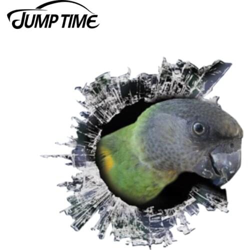 Jump Time 13cm x 12.2cm 3D Senegal Parrot window sticker Glass Slag Decal Reflective Stickers Waterproof Bird Decals