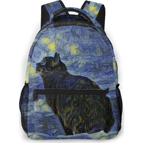 School Bags for Teenagers Boys School Bag Boy Shambhala Cat In Vincent Van Gogh Impressionist Art Students Book Satchels
