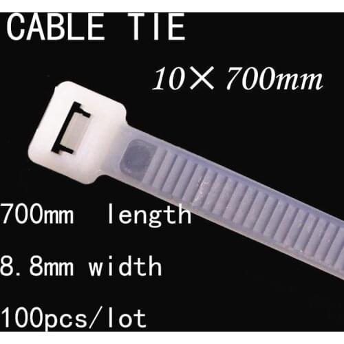 100pcs/lot 10*700mm National Standard 8.8mm Width White/Black Fixed Wire Wire Harness Fixed Pedestal