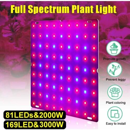 Growing Lamps 3000W LED Grow Light Full Spectrum Plant Lighting Fitolampy For Plants Flowers Cultivation