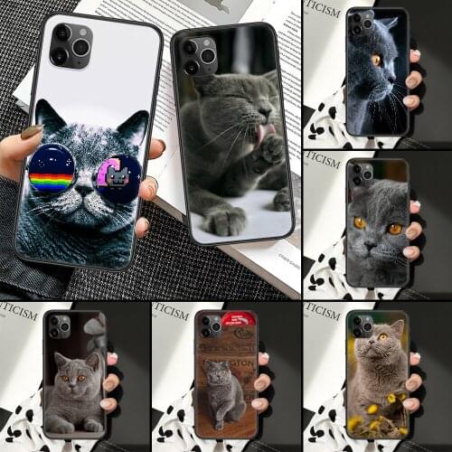 British shorthair cat Phone Case For iphone 5 5S SE 2 6 6S 7 8 11 12 Mini Plus X XS XR Pro Max black art funda silicone