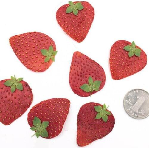 5pcs Dried Pressed Fruit Strawberry Skin Slices Plant Herbarium For Jewelry Photo Frame Phone Case Bookmark Making DIY