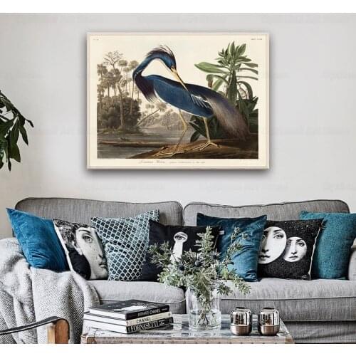 Louisiana Heron From Birds Of America Canvas Print Painting American Animal Bird Nature Poster Wall Picture Kitchen Home Decor