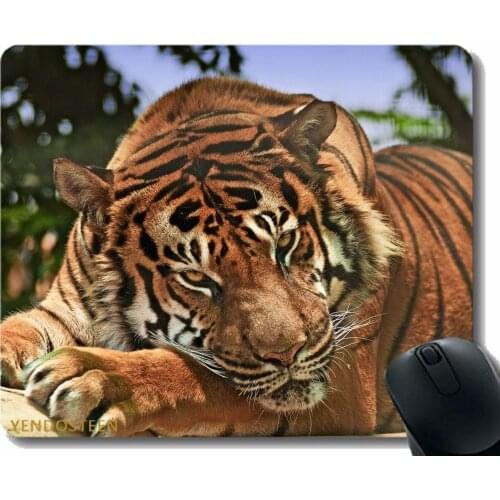 Gaming Mouse Pad Custom,Tiger Predator Snout Aggression Big Cat 102611 Comfortable Mouse Mat For Gaming And Office