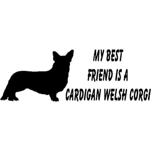 16CM*5.6CM My Best Friend Is A Cardigan Welsh Corgi Dog Vinyl Windows Car Decal Sticker Black/Silver C2-3055