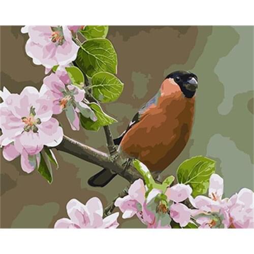 PAINTBOY Bird And Flower Framed DIY Painting By Numbers Painting&Calligraphy Acrylic Painting Wall Art For Home Decor