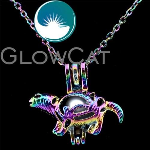 C723 Rainbow Color Ocean Turtle Stone Beads Cage Essential Oil Diffuser Aroma Pearl Cage Locket Necklace Girl Party Gift