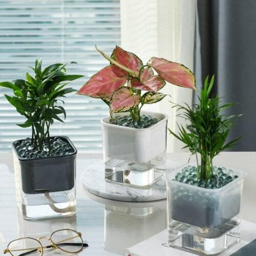 Automatic Water Absorption Succulent Flowerpot Self-Watering Aquaculture Plastic Hydroponic Flowerpot Planter Home Decorations