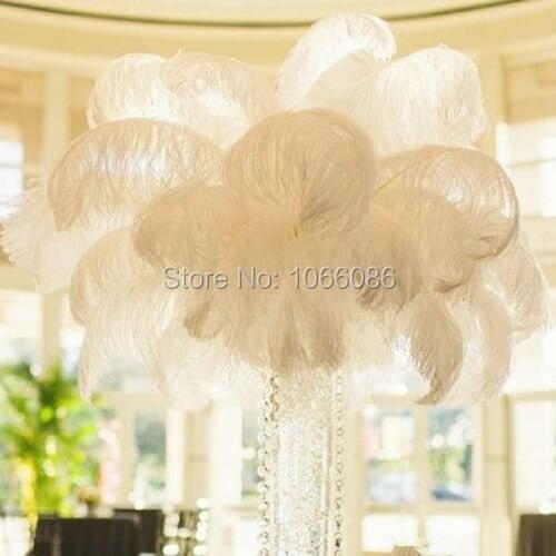EMS Free Shipping! 100pcs/lot 60-65cm 24-26" Top quality White ostrich feathers ostrich plumages plumes