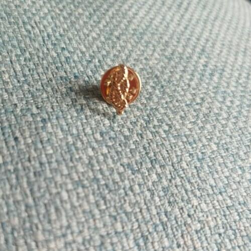 Free Shipping 10pcs 15MM 0.6" Small Cute Masonic Lapel Badge Emblem Cable Tow Blue Lodge Lapel Pin For Freemason