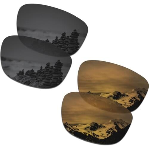 SmartVLT 2 Pairs Polarized Sunglasses Replacement Lenses for Oakley Holbrook R Stealth Black and Bronze Gold