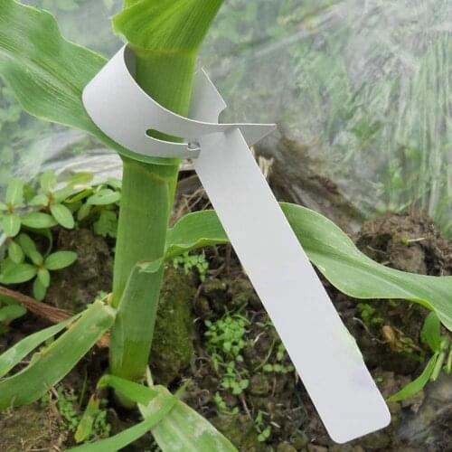 400 Pcs Plastic Plant Labels Wrap Around Tree Tags, Adjustable Nursery Garden Labels Plant Tags with Large Writing Surface, Whit