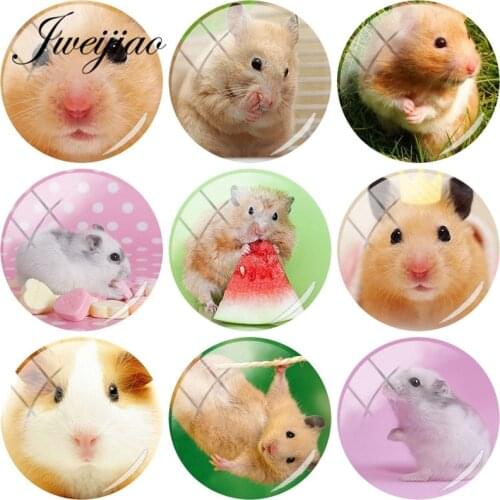 JWEIJIAO Lovely Small Pet Mouse Hamster Glass Cabochon Picture Charm Jewelry Findings For Stud Earrings Keychain Necklace