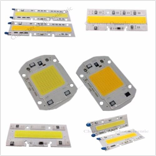 220V 20W 30W 50W 70W 100W LED Floodlight COB Chip, Integrated Smart IC Driver, Warm White cool white High power led chip