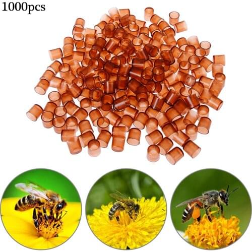 1000 PCS Bee Queen Rearing Plastic Brown Cells Cages Room Cups Beekeepers Equipment with Smooth Surface