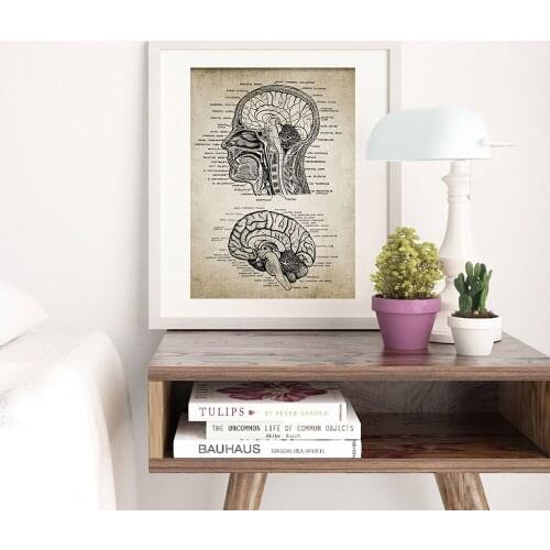 Human Head And Brain Anatomy Patent Canvas Poster Vintage Print Neuroscience Human Anatomy Wall Pictures Doctors Office Home Dec