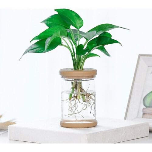 2Pcs Clear Hydroponic Lazy Flower Pot Planter For Grow Small Potted Plants Gardening Supplies Water-absorbing Flowerpot