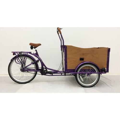 Brushless(DAPU) E Cargo Tricycle Family Cargo Electric 3 Wheeler Bike Tourney 6 speeds Cargo Tourism Leisure France Spain Cargo