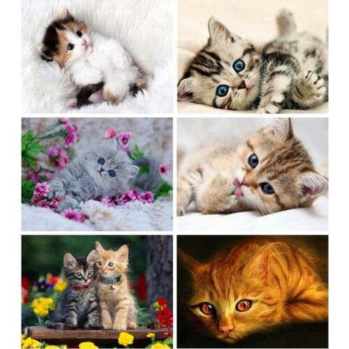 Diamond Painting Cat Cross Stitch Diamond Embroidery Animals Sale Rhinestones Art Gift Bead Picture Kits Wall Decor