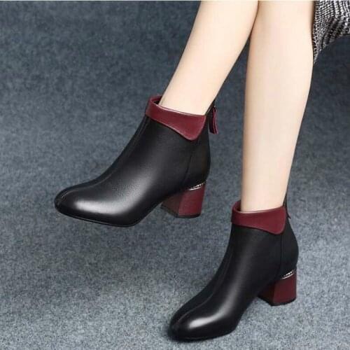 Women Ankle Boots Shoes Winter Autumn Ladies Plush Warm High Heels Pu Leather Fashion Pointed Toe Zip Female shoes