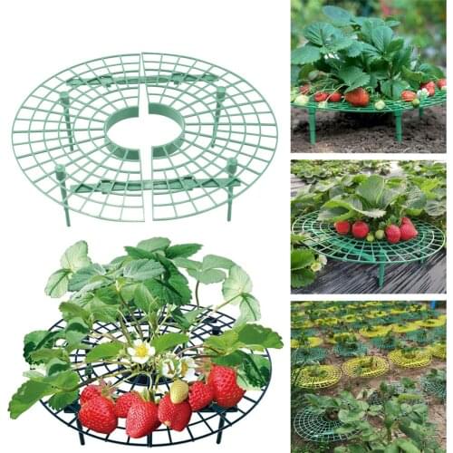 6 PCS Strawberry Stand Frame Holder Balcony Planting Rack Fruit Support Plant Flower Climbing Vine Pillar Gardening Stand