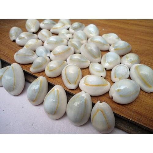 HappyKiss 50pcsNatural conch shells phnom penh screw Millet screw wholesale Rural decoration Shell accessories DIY material