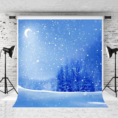 VinylBDS Blue Snow Photography Backdrops Moon Snowflakes Photography Backdrops Christmas Winter Princess Background 300cm