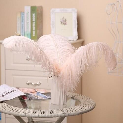 50pcs pale pink color Dyed fluffy high quality ostrich feathers plumes wedding home decor. 55-60cm 22-24inch