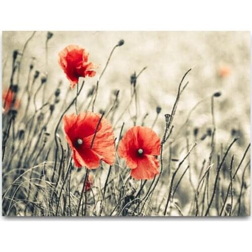 5D Diy diamond painting 3d Red poppy flowers cross stitch kits full diamond embroidery pictures by number Wedding decoration