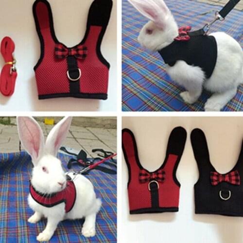 Pet Leash Small Dog Cat Rabbit Vest Mesh Chest Strap Small Animals Harness Leash Walking Lead Leash Pet Accessories