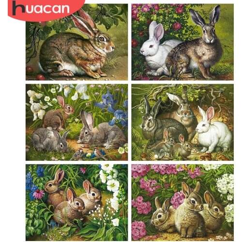 HUACAN Full Square 5d Diamond Painting Rabbit DIY Diamond Embroidery Animal Mosaic Flower Home Decor Craft Kit