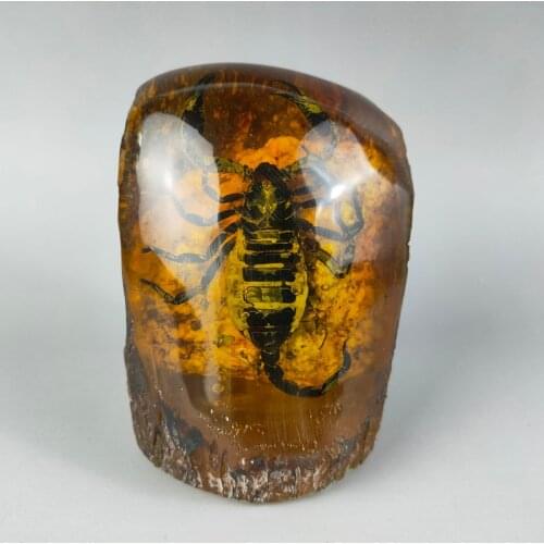 Elaborate Interesting Rare Chinese Collection Home Decoration Gift Amber Resin Scorpion Statue Craft