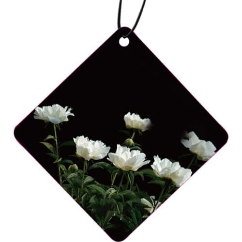 Car Interior Air Freshener Hanging Scented Card Creative Perfume Diffuser Aromatherapy Decor Cool Gift Fragrance for Men