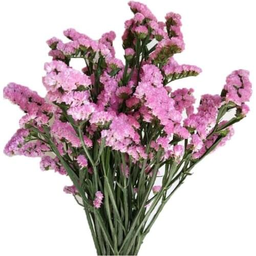15pcs 58cm tall natural dried forget-me-not flower bouquet christmas wedding decoration flowers arrangement 6 colors