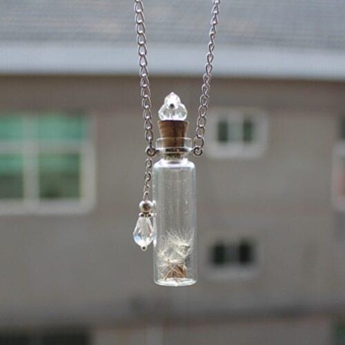 2PCS 40X12MM Real Dandelion Seeds Necklace natural history specimen in a clear jar necklace Glass Orb Nature
