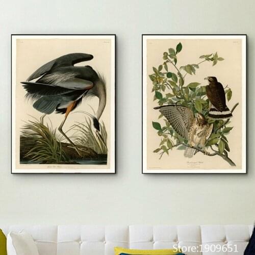 Cotton no frame realist Audubon narrow bird canvas printings oil painting printed on cotton home wall art decoration picture