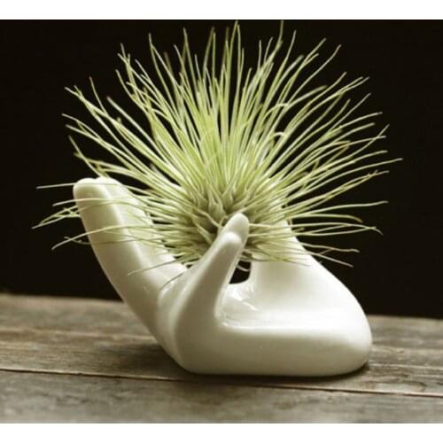 Porcelain Ceramic Air Plant Tillandsia Holder Flower Office Desk Decor Chic Home Decoration 45g 8x5x4.7cm