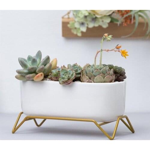 1Pc Oval Meaty Flowerpot Ceramic Flowerpot Planter Ironwork Four-foot Base Frame Combination Suit Garden Flower Planter Pot