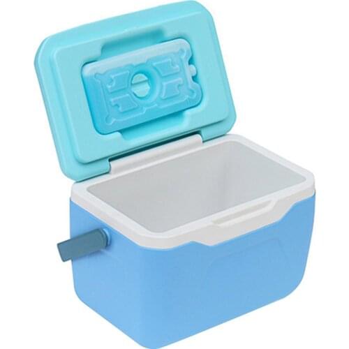 5.5L Portable Handle Cooler Outdoor Camping Food Car Small Cooler Container Picnic Lunch Drink Food Beer Storage Container