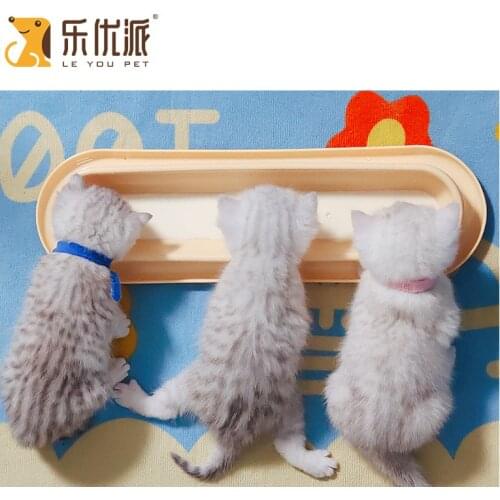 Rectangle Bowls Cat Dog Feeders Bowl plastic love pet Food Water Bowl Antiskid Pet Supplies Dog Cat Feeding Bowl Leakproof Bowl