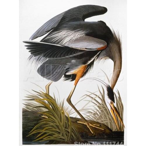 Animal painting bird Audubon Heron John James Audubon art on canvas Hand painted High quality