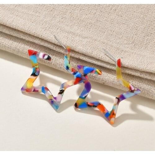 ZA 2019 Hot Sale Acrylic Resin Leopard Dangle Earring For Women Fashion Tortoiseshell Geometry Acetate Party Jewelry Brincos