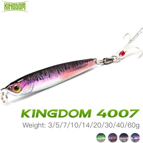 Kingdom Sinking Jig Fishing lure 3/5/7/10/14/20/30/40/60g Metal Jigging Spoon Lead Fish For Pike Bass Pesca Trout Fishing Bait